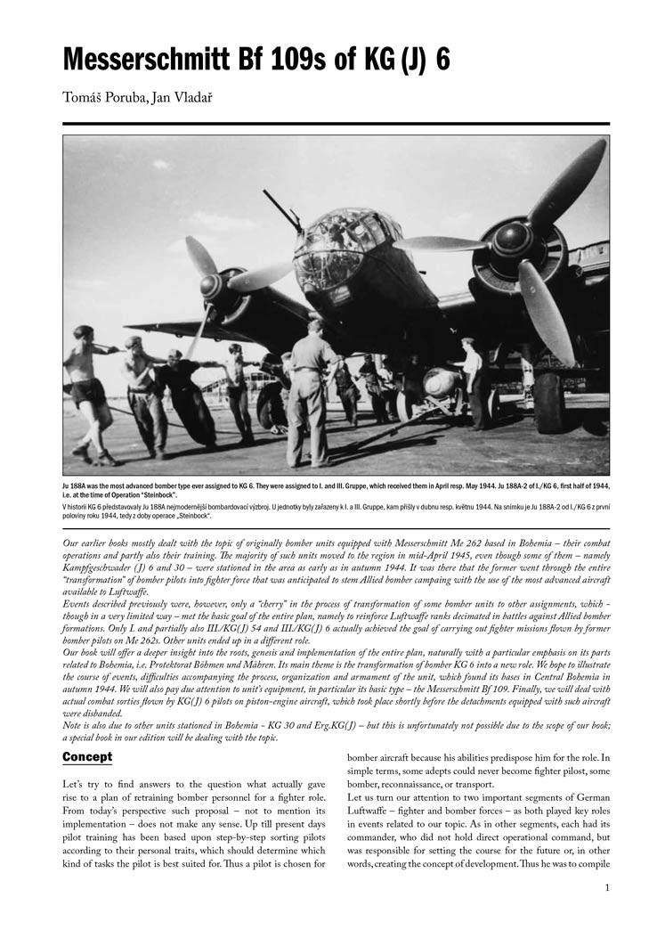 Messerschmitt Bf 109s of KG(J)6