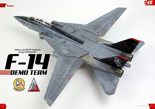Grumman F-14 TOMCAT