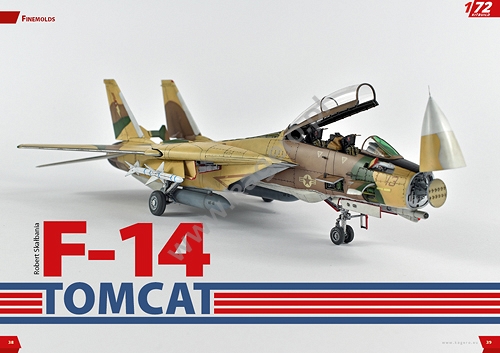 Grumman F-14 TOMCAT