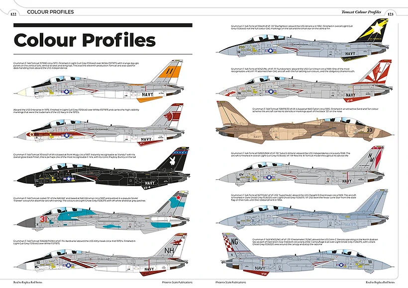 Red Series 17 – The Grumman F-14 Tomcat .