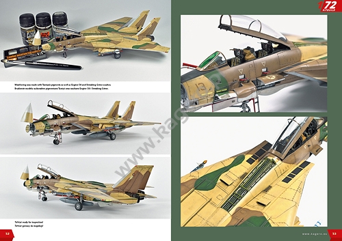 Grumman F-14 TOMCAT