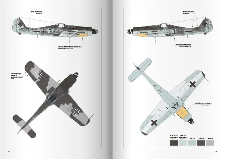 Focke-Wulf Fw 190s of Jagdgeschwader 6 in WWII Final Operations