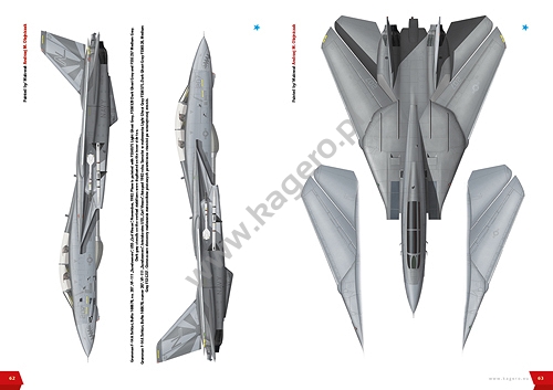 Grumman F-14 TOMCAT