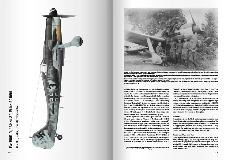 Focke-Wulf Fw 190s of Jagdgeschwader 6 in WWII Final Operations