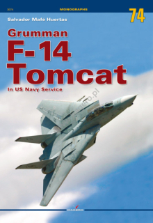 Grumman F-14 Tomcat in US Navy Service