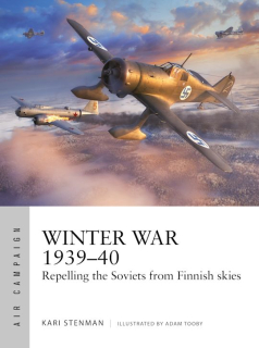 Winter War 1939-40, Repelling the Soviets from Finnish skies