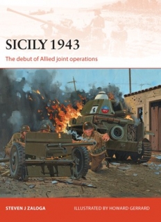 Sicily 1943, The debut of Allied joint operations