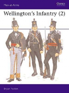 Wellington's Infantry 2.