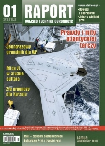Raport r. 2013 č.1