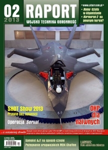 Raport r. 2013 č.2
