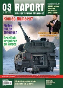 Raport r. 2013 č.3