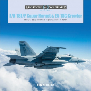 F/A-18E/F Super Hornet and EA-18 G Growler: The US Navy´s Primary Fighter/Attack Fighter